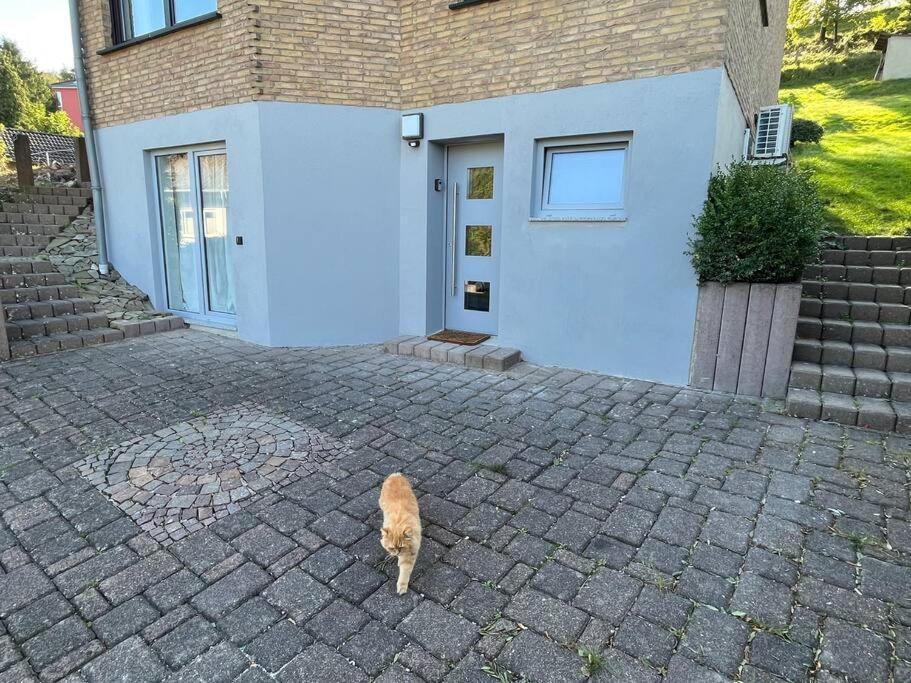 Gemuetliches Feriendomizil*Eifel* Villa Bad Muenstereifel Luaran gambar